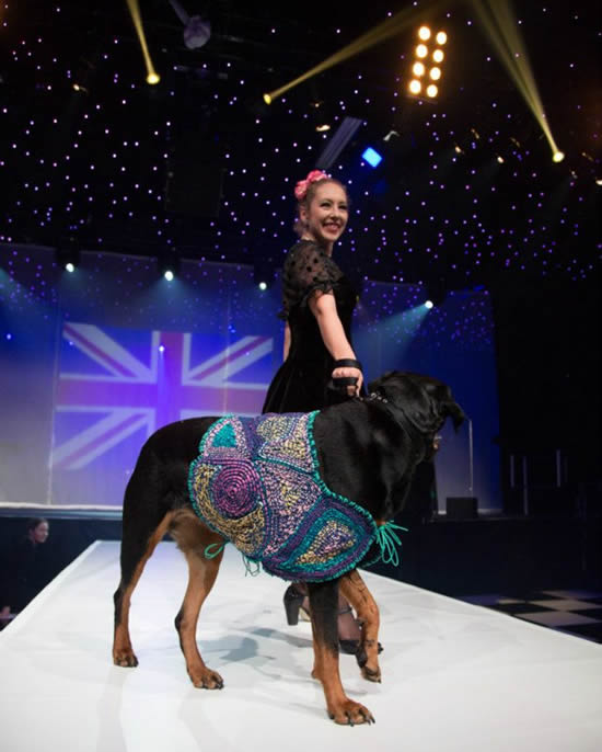 Swarovski studded dog coat to be auctioned for the Collars and Coats fundraiser Swarovski studded dog coat to be auctioned for the Collars and Coats fundraiser