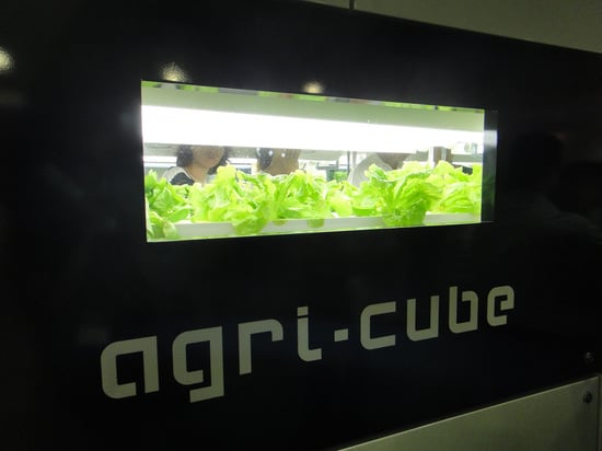 Agri cube helps to set up a personal organic farm in your car park Agri cube helps to set up a personal organic farm in your car park