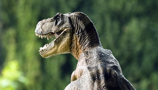 Billionaire Clive Palmer to built a real life Jurassic Park in Australia