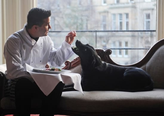 Pamper your dog this season of love at Scotland’s top hotels Pamper your dog this season of love at Scotland’s top hotels