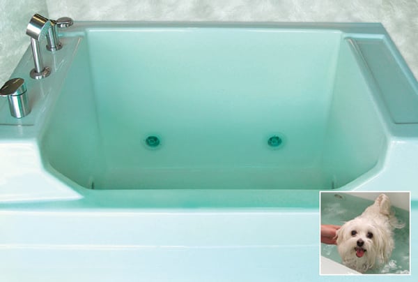 Jentle Pet Spa promises a therapeutic bathing experience for your pooch