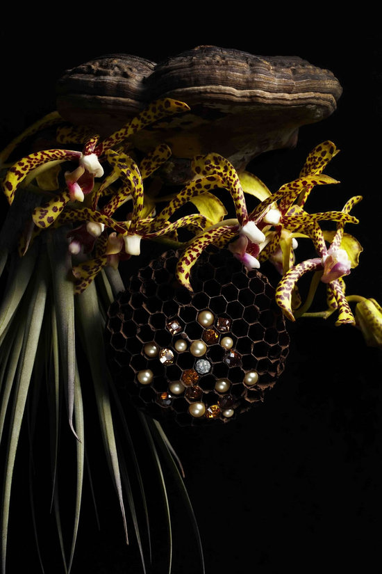 Botanical-masterpieces-with-Swarovski-Elements5.jpg