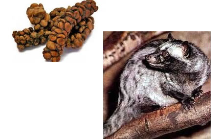 Expensive_5_Course_Kopi_Luwak_Coffee.jpg