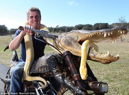 GatorBike3.jpg