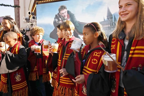 Harry-Potter-themed-amusement-park2.jpg