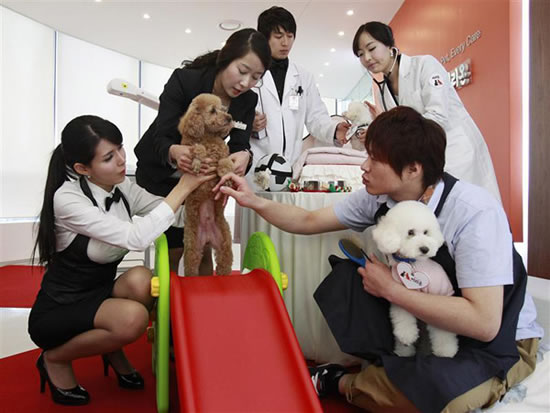 Luxury-pet-care-center-Irion3.jpg
