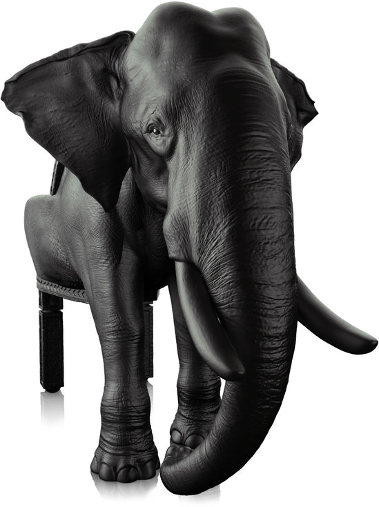 THE_ELEPHANT_CHAIR.jpg