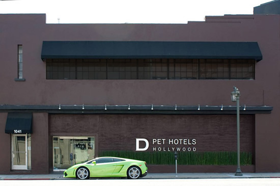 d-pet-hotels-2.jpg