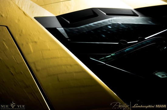 good-gold-aventador-edition-6.jpg