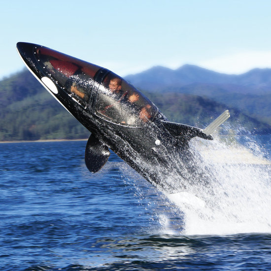 killer-whale-submarine1.jpg