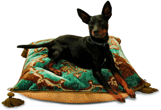 luxury-pillows-for-your-pet.jpg