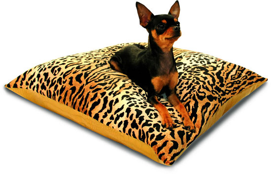 luxury-pillows-for-your-pet1.jpg