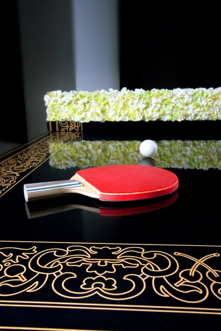 pingpongtable_1.jpg