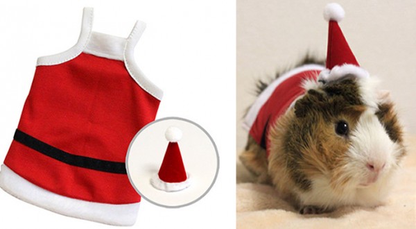 guinea-pig-costumes-3